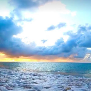 Meet your Posher, Arya